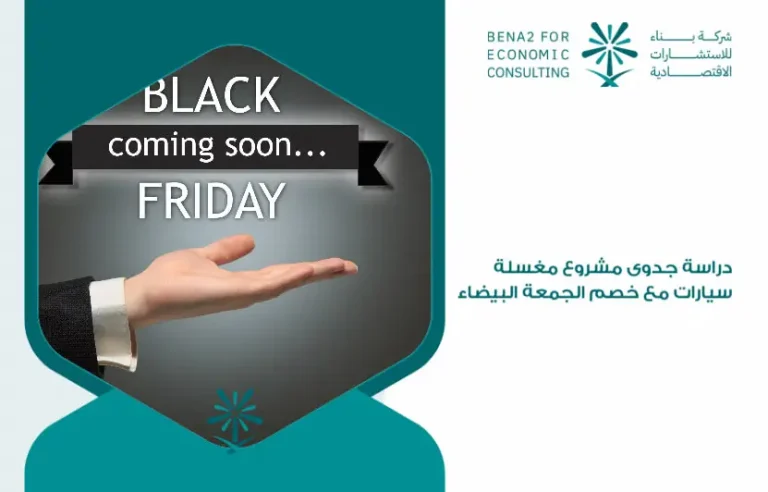 Feasibility_study_for_a_car_wash_project_with_a_Black_Friday_discount (1)