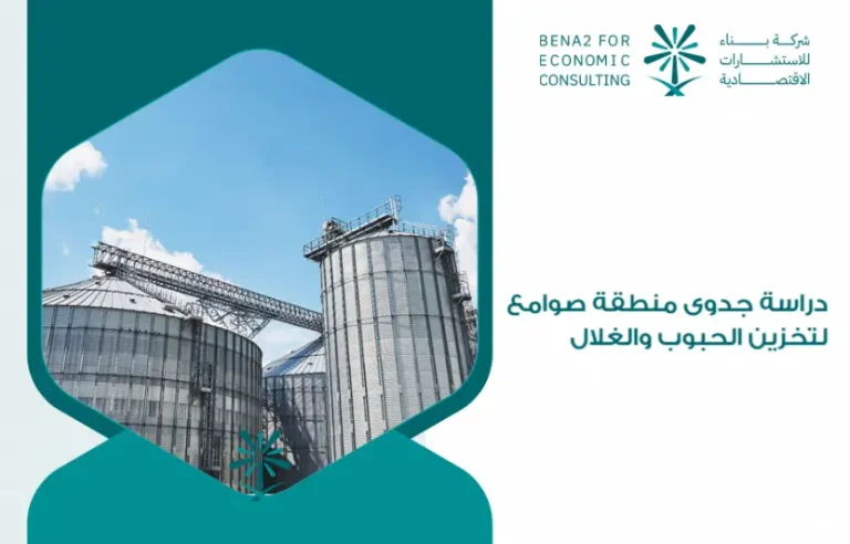 Feasibility_study_of_a_silo_area_for_storing_grains_and_grains (1)