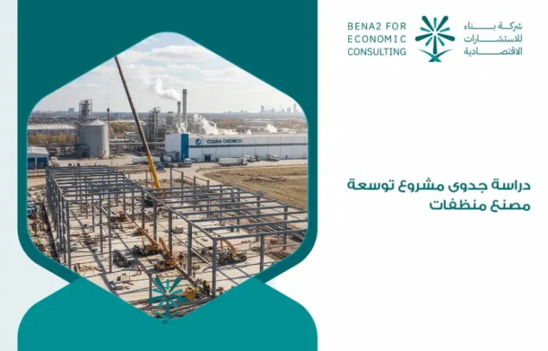 Feasibility_study_of_a_detergent_factory_expansion_project (1)