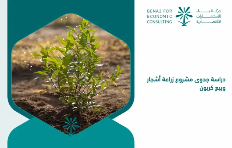 Feasibility_study_of_a_tree_planting_and_carbon_sale_project (1)