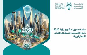 Feasibility_study_of_Vision_2030_projects__An_investor_s_guide_to_exploiting_strategic_opportunities