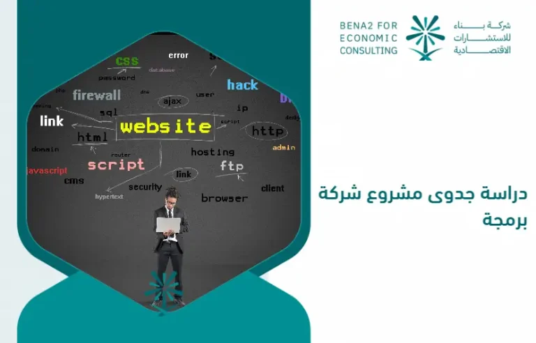 Feasibility_study_of_a_programming_company_project (1)