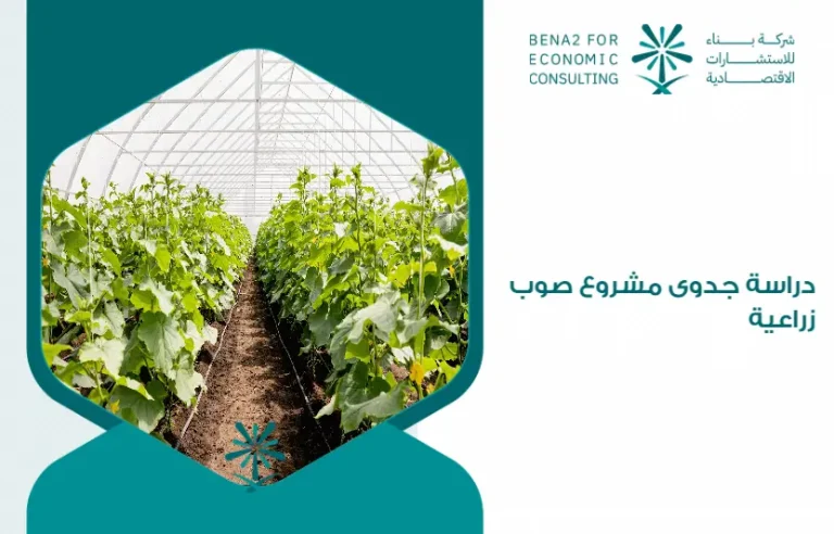 Feasibility_study_of_an_agricultural_greenhouse_project (1)